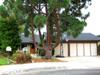 1735 Rogue Isle
 Carlsbad CA 92008