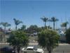 1021 Scott
 Point Loma (Pt Loma) CA 92106