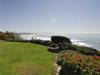 1376 Coast Highway 101
 Encinitas CA 92024